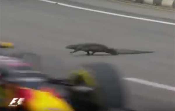 F1-Singapura-Reptil01