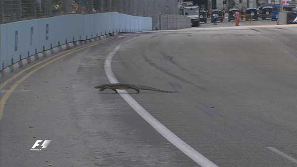 F1-Singapura-Reptil02