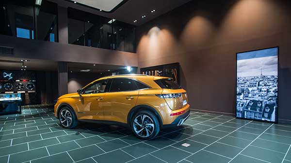 DS-Store 13