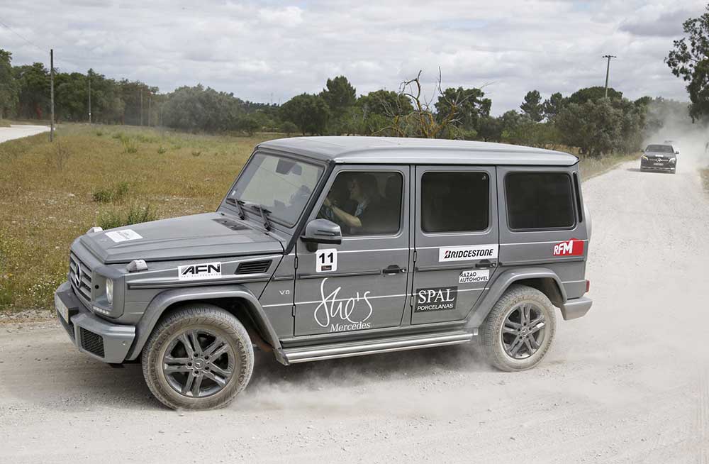 Mercedes Shes 119