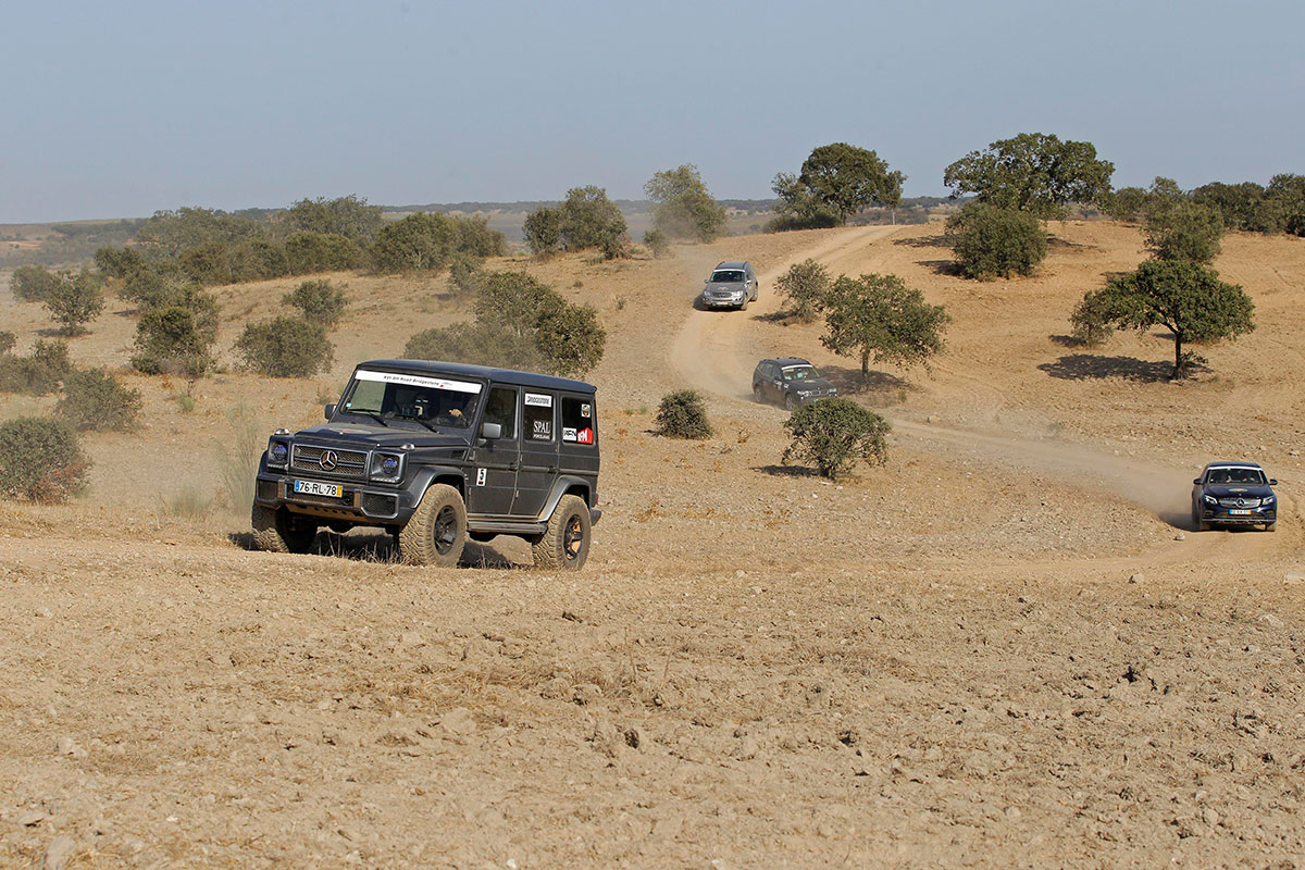 Offroad ACP 0574